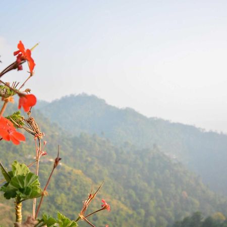 Satyam Home Stay Kasauli Dharampur Экстерьер фото